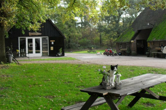 De Meulenhorst boerderijwinkel